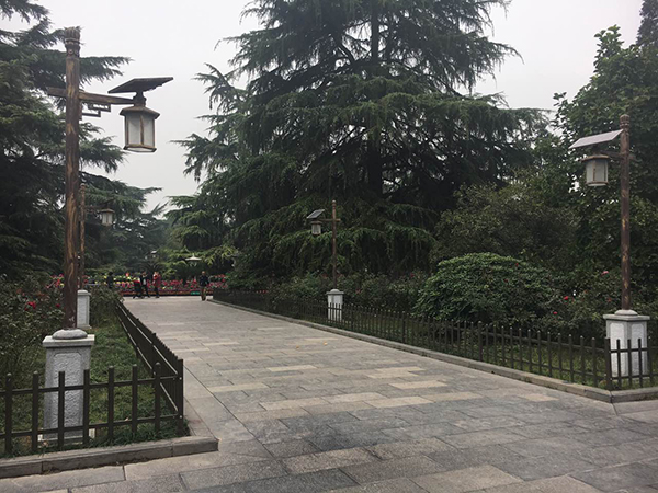 源碼太陽(yáng)能路燈，太陽(yáng)能路燈廠家，太陽(yáng)能路燈價(jià)格