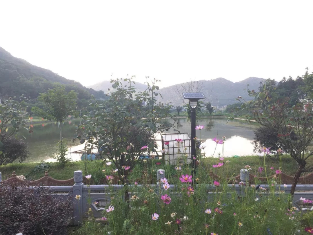 源碼，你所不知道的另一面