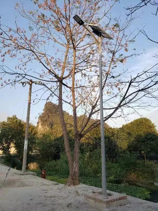 照亮農(nóng)村幸福路！源碼攜手建設(shè)柳州“村屯光亮工程