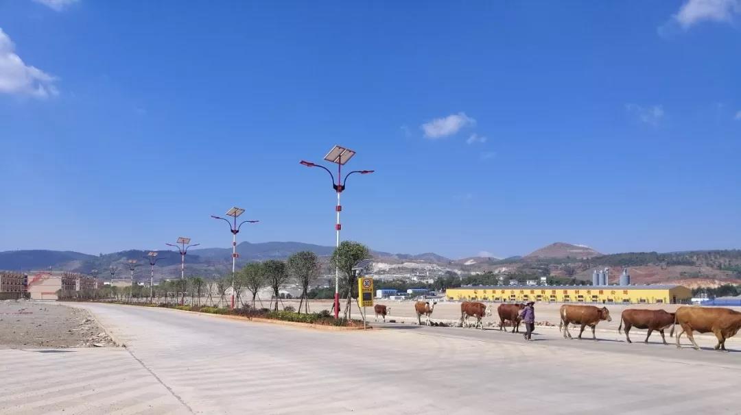 回顧2019，源碼Road Smart奮斗在路上